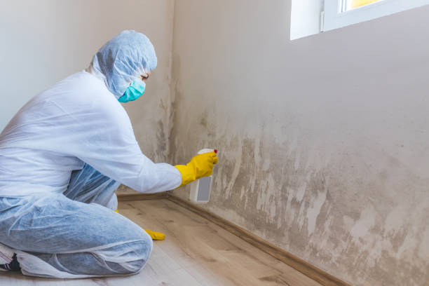 Licensed Bathroom Mold Removal service in Union, NJ - WQB Mold Removal