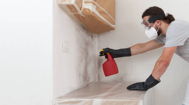 Professional Bathroom Mold Removal technician working in Union, NJ