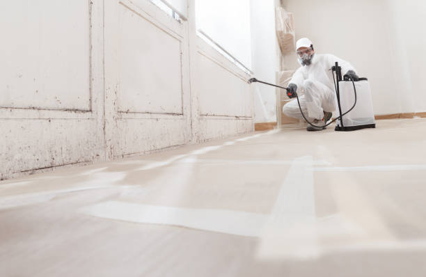 24/7 Emergency Bathroom Mold Removal experts in Union, NJ