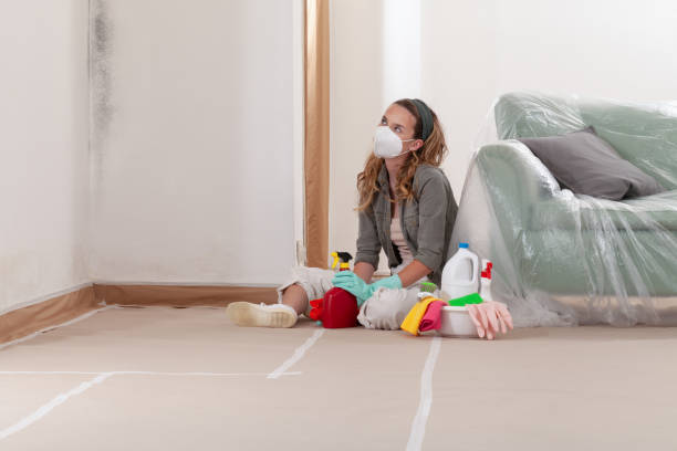 Reliable Bathroom Mold Removal contractor in Union, NJ by WQB Mold Removal